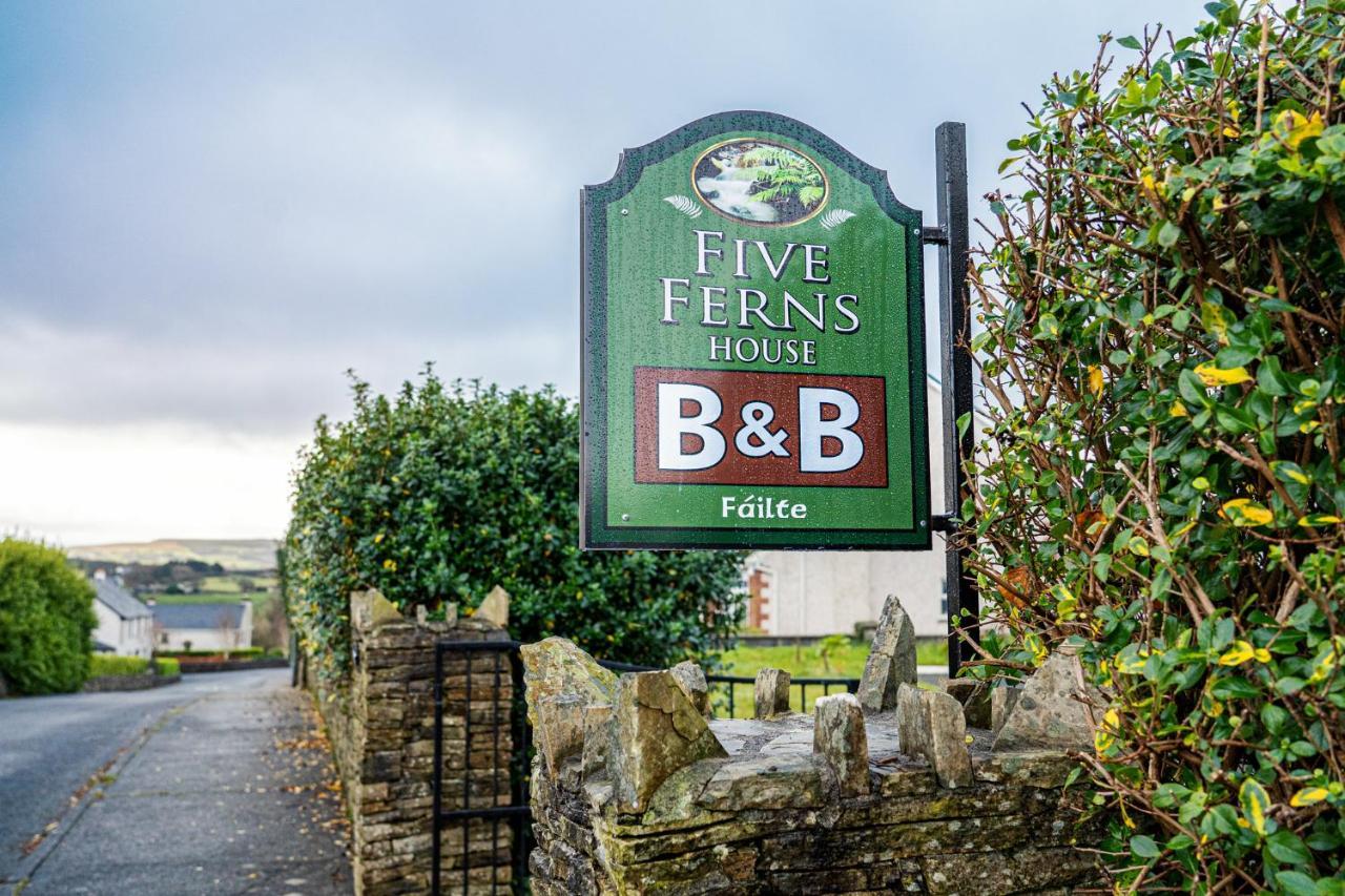 Bed and Breakfast Five Ferns House Westport Esterno foto